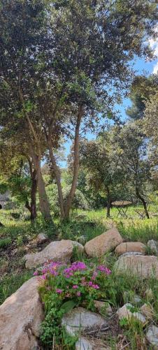 Les Bois De Zola Entre Provence Et Luberon Lejlighedshotel Saint-Esteve-Janson Eksteriør billede