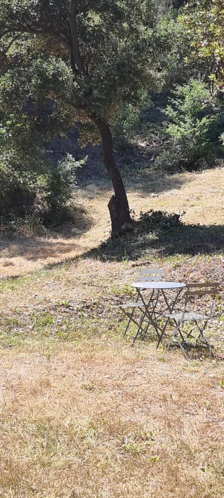 Les Bois De Zola Entre Provence Et Luberon Lejlighedshotel Saint-Esteve-Janson Eksteriør billede