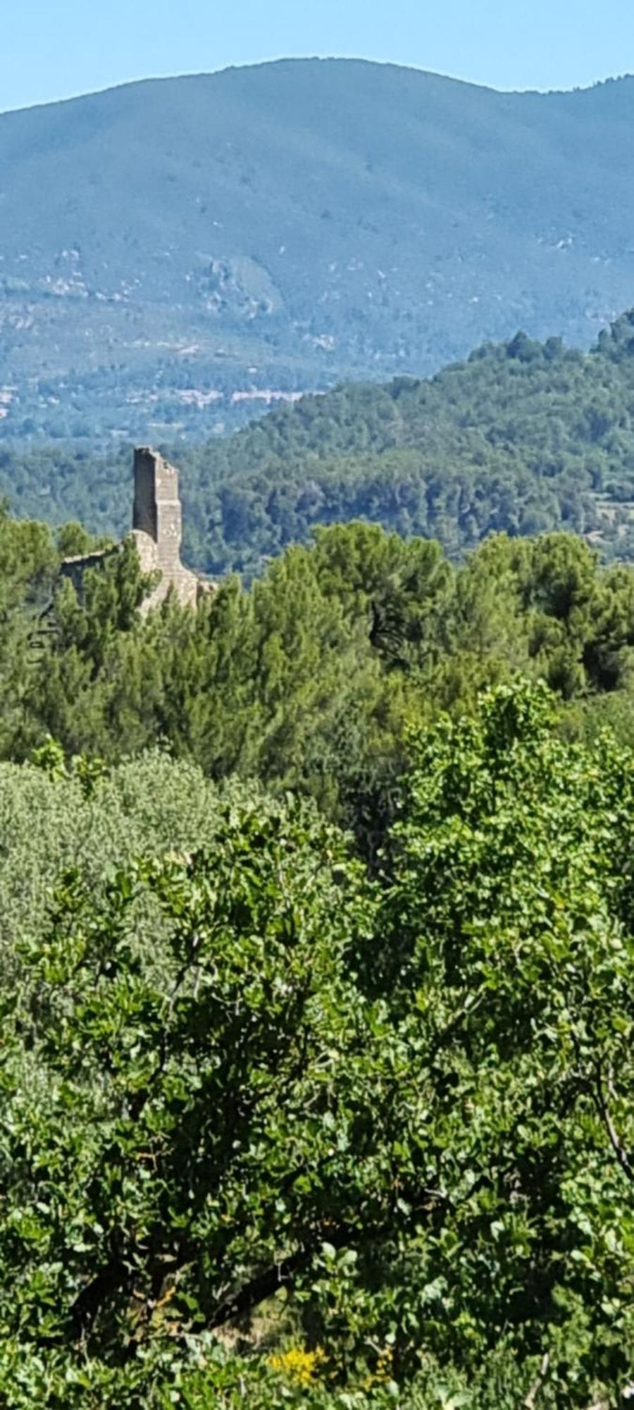 Les Bois De Zola Entre Provence Et Luberon Lejlighedshotel Saint-Esteve-Janson Eksteriør billede